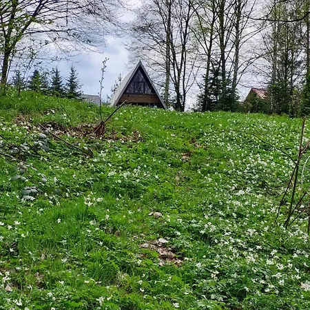 Holiday home U Hanki Zywiec