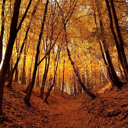 U Hanki Vakantiehuis