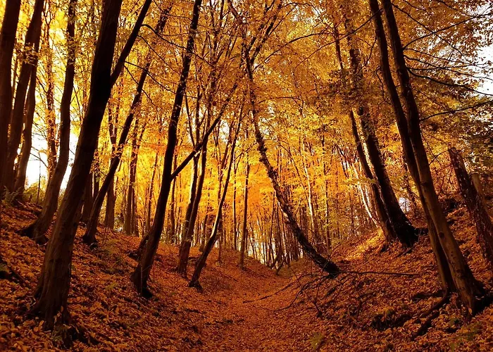 U Hanki בית נופש